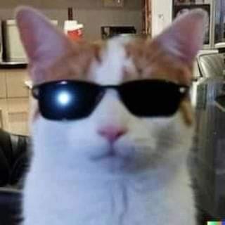 SacredFire89's Avatar